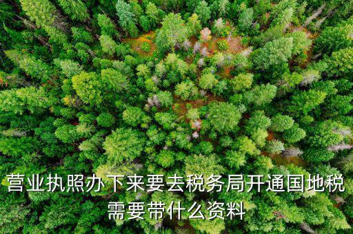 有了營業(yè)執(zhí)照要帶什么去辦稅，拿到營業(yè)執(zhí)照銀行開戶后去辦稅帶什么證件