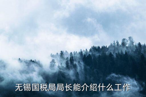 無錫地稅局長接待日是什么，無錫國稅局局長能介紹什么工作
