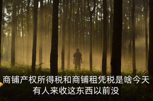 什么叫店面租憑稅，商鋪產權所得稅和商鋪租憑稅是啥今天有人來收這東西以前沒