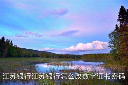 如何改數(shù)字證書密碼是什么意思，建行重新申請數(shù)字證書之后的登陸密碼是什么