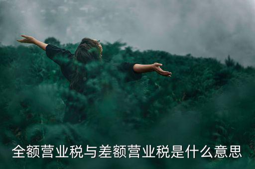 什么叫差額征稅，什么是差額稅