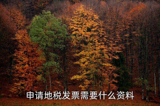 地稅局開(kāi)票需要帶什么，申請(qǐng)地稅發(fā)票需要什么資料