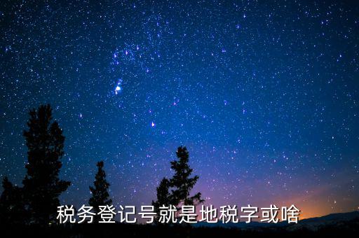國稅地稅登記號是什么意思，稅務登記號就是地稅字或啥