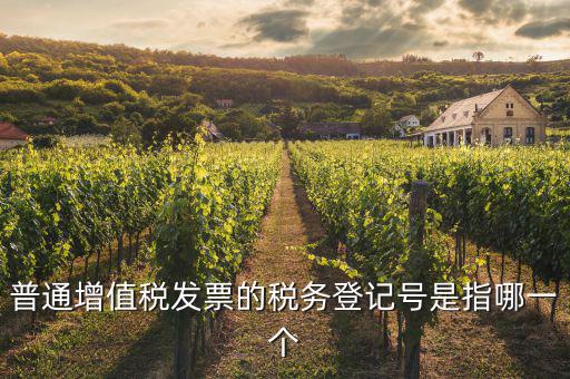 什么是增值稅登記號碼，增值稅登記號