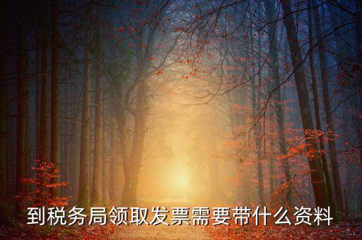 到稅務局領取發(fā)票需要帶什么資料
