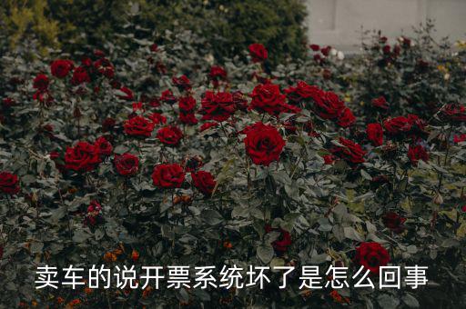 賣(mài)車(chē)的說(shuō)開(kāi)票系統(tǒng)壞了是怎么回事