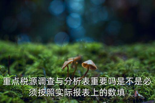 重點(diǎn)稅源分析分析什么，重點(diǎn)稅源的介紹