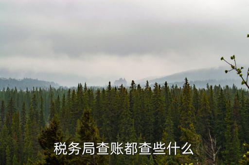 稅務(wù)局查稅一般查什么，請(qǐng)問一下老師一般稅務(wù)局人來查帳一般查什么的