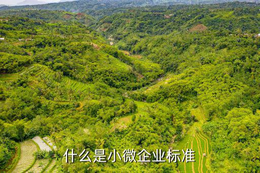 小型微利企業(yè)標準是什么，微小型企業(yè)的標準是什么