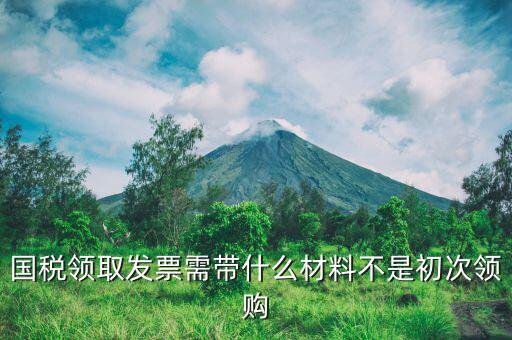 國稅領取發(fā)票需帶什么材料不是初次領購