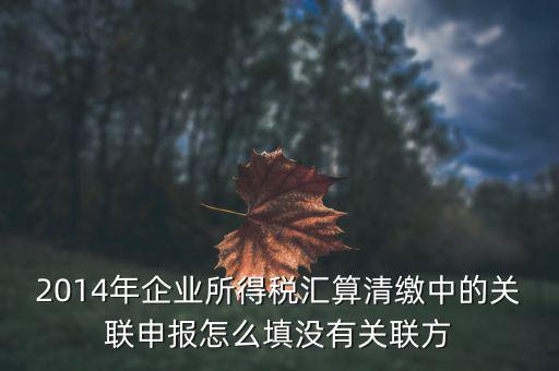 什么是關(guān)聯(lián)申報(bào)，2014年企業(yè)所得稅匯算清繳中的關(guān)聯(lián)申報(bào)怎么填沒有關(guān)聯(lián)方