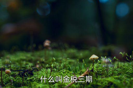 為什么叫金稅三期，2016年金稅三期上線那金稅三期到底是啥呢