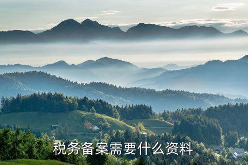 地稅局備案需要什么，到地稅局去辦理發(fā)票章備案需要帶什么