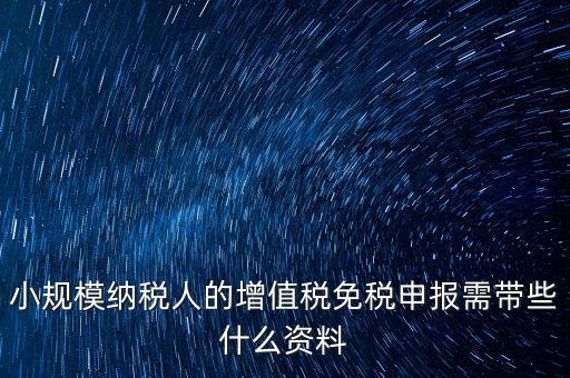小規(guī)模納稅人的增值稅免稅申報(bào)需帶些什么資料