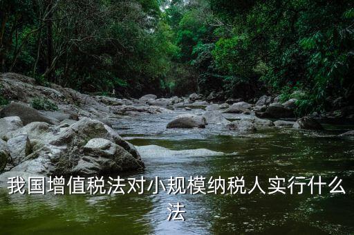 我國增值稅法對小規(guī)模納稅人實(shí)行什么法