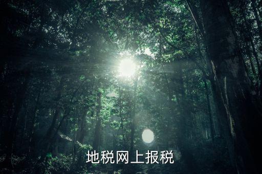 地稅網(wǎng)上需要報(bào)什么稅，網(wǎng)上報(bào)稅地稅國(guó)稅各有哪些稅種