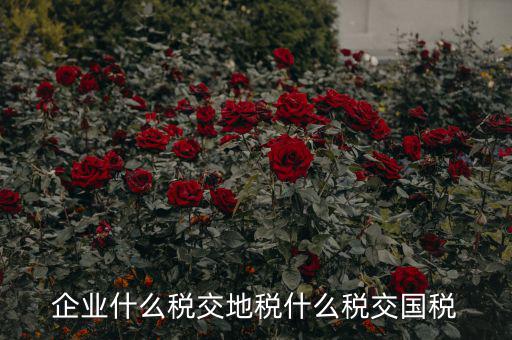 企業(yè)什么稅交地稅什么稅交國(guó)稅