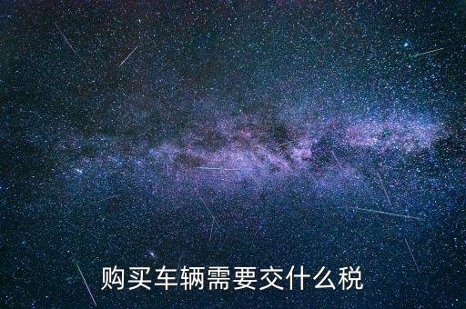 車(chē)輛納稅需要什么，汽車(chē)交稅需要帶什么