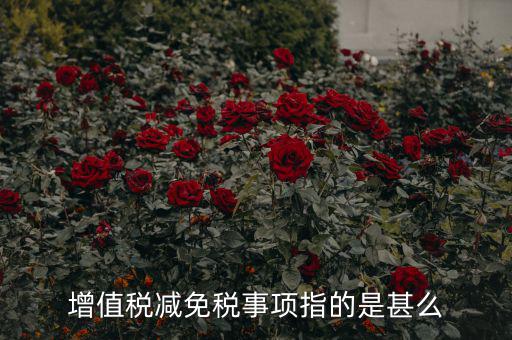 什么是減免稅申報(bào)，增值稅減免稅事項(xiàng)指的是甚么