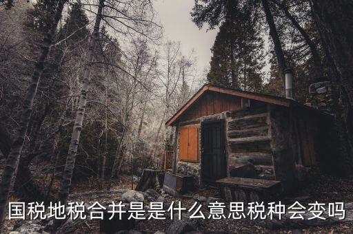 國稅地稅合并是是什么意思稅種會(huì)變嗎