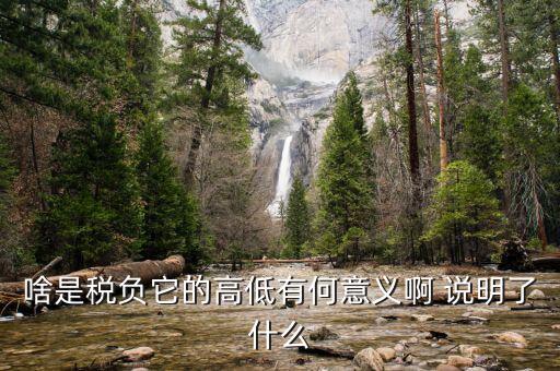什么是稅負(fù)分析，增值稅稅負(fù)什么意思