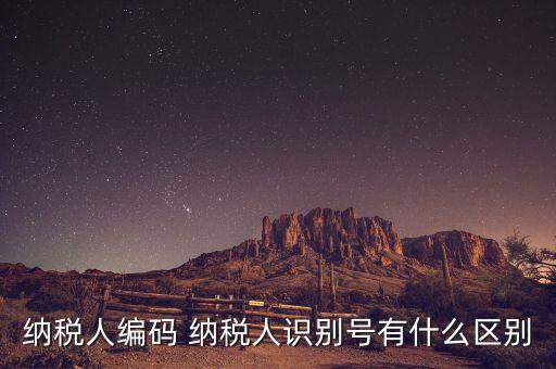 納稅人的識別號是什么意思，納稅人識別號是什么