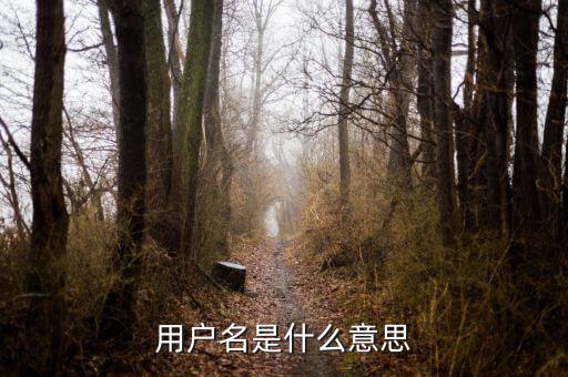 個稅用戶名是指什么意思，用戶名是什么意思