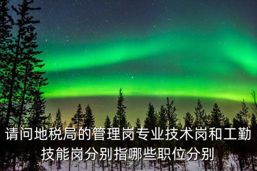 請(qǐng)問地稅局的管理崗專業(yè)技術(shù)崗和工勤技能崗分別指哪些職位分別