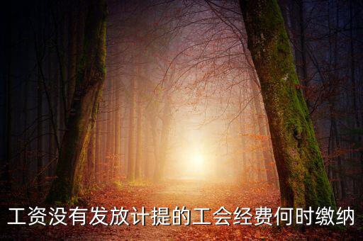 工會經費一般什么時候交，工資沒有發(fā)放計提的工會經費何時繳納