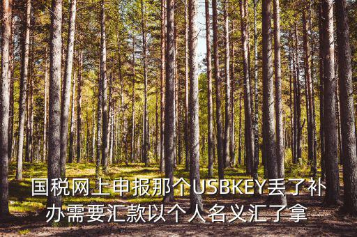 稅務ukey是什么意思，國稅網(wǎng)上申報那個USBKEY丟了補辦需要匯款以個人名義匯了拿