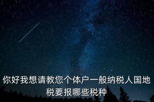 你好我想請(qǐng)教您個(gè)體戶一般納稅人國(guó)地稅要報(bào)哪些稅種