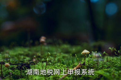 湖南省的地稅報(bào)稅軟件是什么，湖南地稅網(wǎng)上申報(bào)系統(tǒng)
