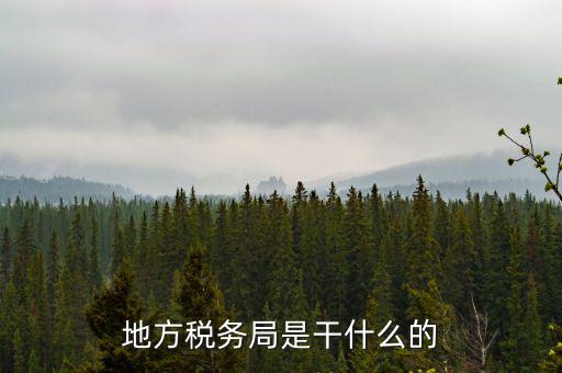 地稅局涉外稅收做什么，陜西發(fā)票涉外地稅是什么意思