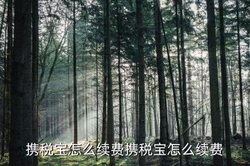稅寶續(xù)費(fèi)帶什么意思，攜稅寶續(xù)費(fèi)后怎樣使用
