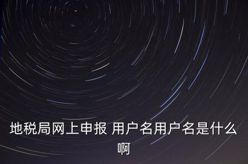 地稅局網(wǎng)上申報(bào) 用戶名用戶名是什么啊