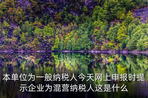 本單位為一般納稅人今天網(wǎng)上申報(bào)時(shí)提示企業(yè)為混營(yíng)納稅人這是什么
