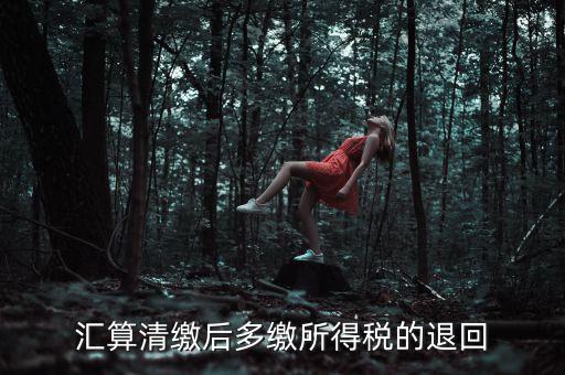 匯算清繳多繳稅款什么時(shí)候退，企業(yè)所得稅匯算清繳退款什么時(shí)候到賬