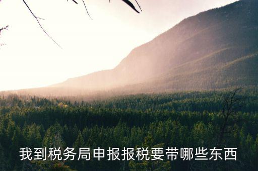 去ems申報(bào)稅務(wù)需要帶什么區(qū)別，我到稅務(wù)局申報(bào)報(bào)稅要帶哪些東西