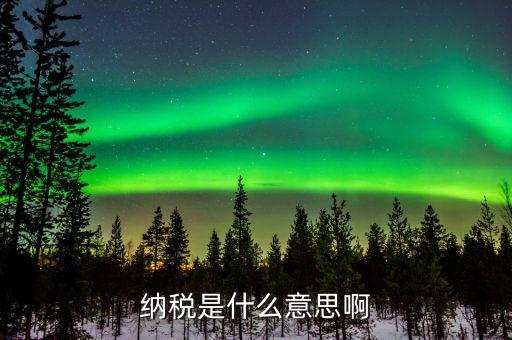 納稅評(píng)定稅款是什么意思，納稅是什么意思