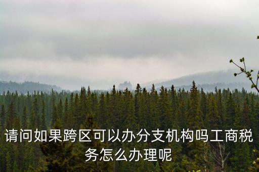 請問如果跨區(qū)可以辦分支機(jī)構(gòu)嗎工商稅務(wù)怎么辦理呢