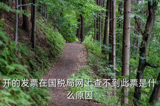 開的發(fā)票在國(guó)稅局網(wǎng)上查不到此票是什么原因