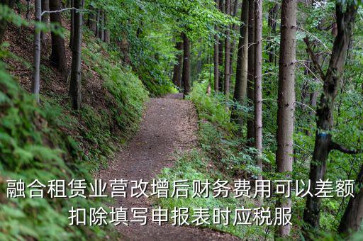 應(yīng)稅服務(wù)扣除項目清單干什么用，應(yīng)稅服務(wù)扣除項目清單中允許扣除項目金額指的是什么是總
