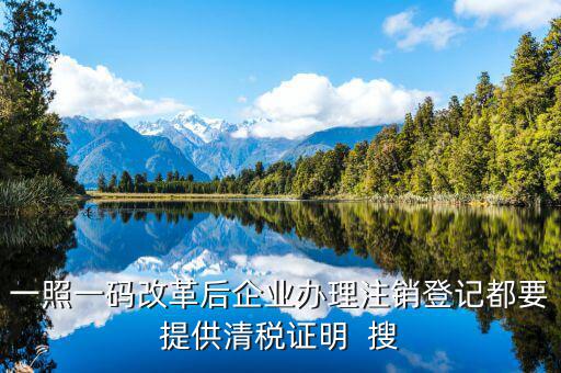 一碼一照清稅需要提交什么資料，一照一碼改革后企業(yè)辦理注銷登記都要提供清稅證明  搜