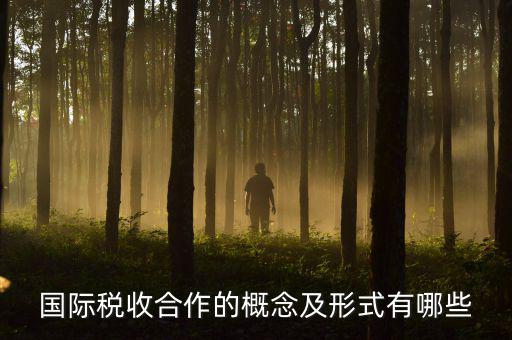 國(guó)際稅源是什么意思，國(guó)際稅收合作的概念及形式有哪些
