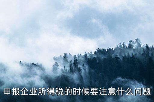 年度企業(yè)所得稅申報(bào)注意什么，申報(bào)企業(yè)所得稅的時(shí)候要注意什么問(wèn)題