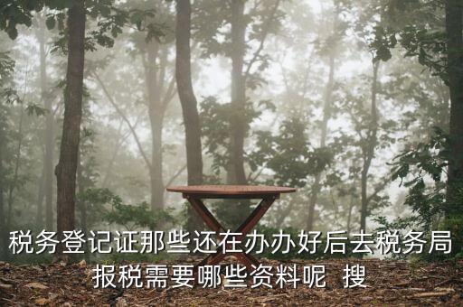 新辦企業(yè)稅務(wù)局需要什么資料，稅務(wù)登記證那些還在辦辦好后去稅務(wù)局報稅需要哪些資料呢  搜