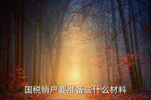 去國(guó)稅銷(xiāo)戶(hù)需要帶什么資料，國(guó)稅注銷(xiāo)需要哪些材料