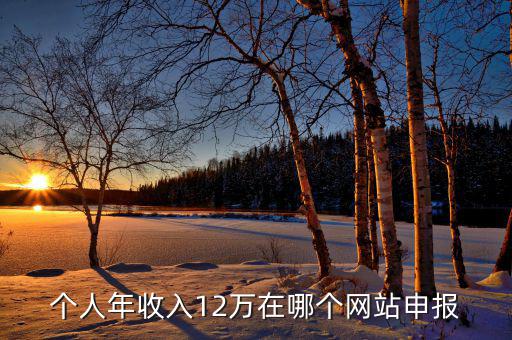 個人年收入12萬在哪個網(wǎng)站申報(bào)