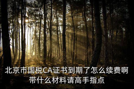 北京市國(guó)稅CA證書到期了怎么續(xù)費(fèi)啊帶什么材料請(qǐng)高手指點(diǎn)