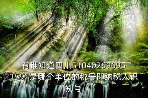 四川國稅廳帳號是什么，有誰知道四川510402696951591是哪個單位的稅號即納稅人識別號